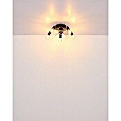 Globo Stropni ventilator Alisha  (Crna, Promjer: 420 mm, 40 W) | BAUHAUS
