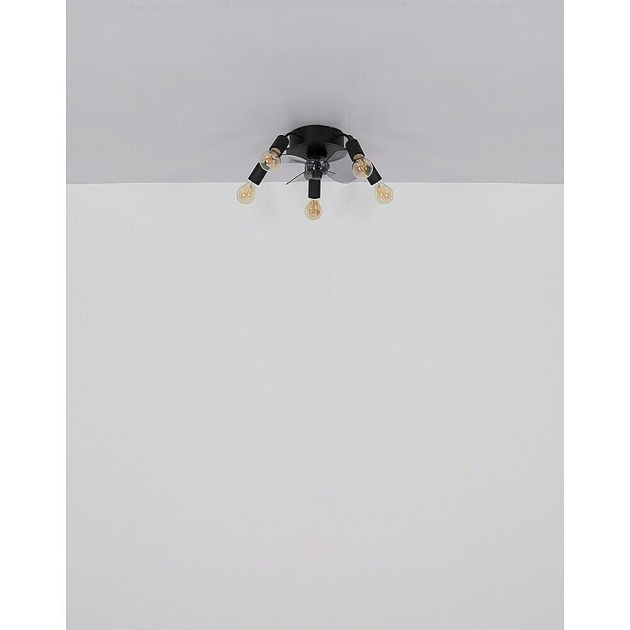 Globo Stropni ventilator Alisha  (Crna, Promjer: 420 mm, 40 W) | BAUHAUS