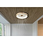 Globo Stropni ventilator Gatian  (30 W, Promjer: 500 mm, Smeđa) | BAUHAUS