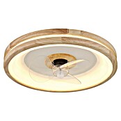 Globo Stropni ventilator Gatian  (30 W, Promjer: 500 mm, Smeđa) | BAUHAUS