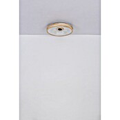 Globo Stropni ventilator Gatian  (30 W, Promjer: 500 mm, Smeđa) | BAUHAUS