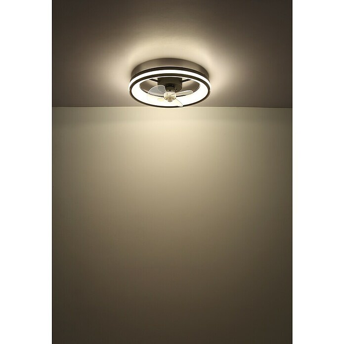 Globo Stropni ventilator Gatian  (30 W, Promjer: 500 mm, Crna) | BAUHAUS