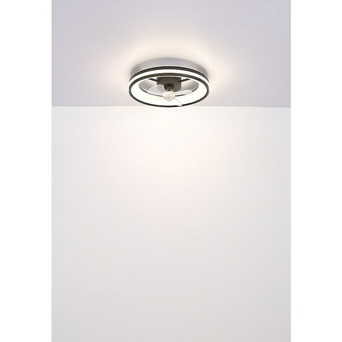 Globo Stropni ventilator Gatian  (30 W, Promjer: 500 mm, Crna) | BAUHAUS