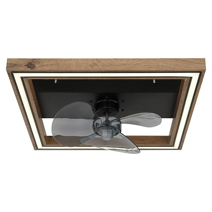 Globo Stropni ventilator Celinata  (Smeđa, D x Š x V: 440 x 440 x 135 mm, 24 W) | BAUHAUS