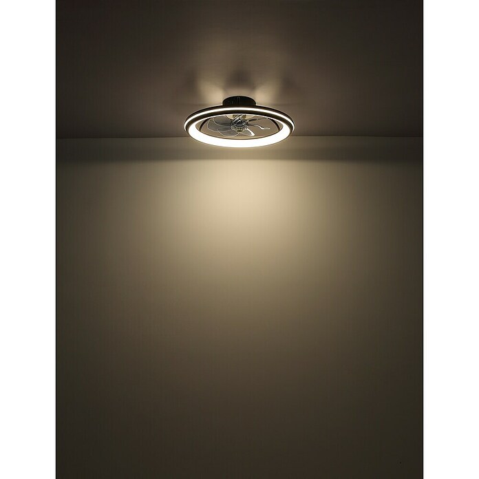 Globo Stropni ventilator Cataleya  (Crna, Promjer: 400 mm, 29 W) | BAUHAUS
