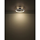 Globo Stropni ventilator Cataleya  (Crna, Promjer: 400 mm, 29 W) | BAUHAUS