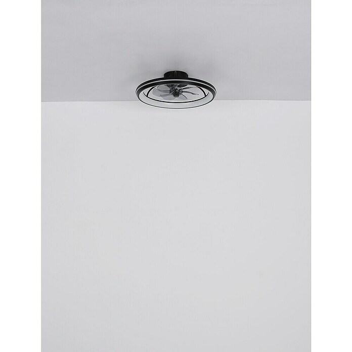 Globo Stropni ventilator Celeste  (36 W, Promjer: 500 mm, Crna) | BAUHAUS