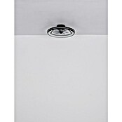 Globo Stropni ventilator Celeste  (36 W, Promjer: 500 mm, Crna) | BAUHAUS