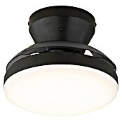 Globo Stropni ventilator Zavala  (Crna, Promjer: 380 mm, 15 W) | BAUHAUS