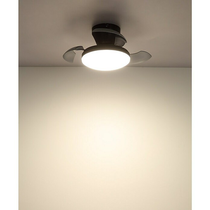 Globo Stropni ventilator Zavala  (Crna, Promjer: 380 mm, 15 W) | BAUHAUS
