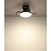 Globo Stropni ventilator Zavala  (Crna, Promjer: 380 mm, 15 W) | BAUHAUS