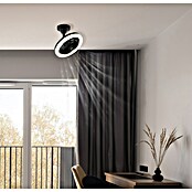 Globo Stropni ventilator Lidea  (Crna, Promjer: 258 mm, 20 W) | BAUHAUS