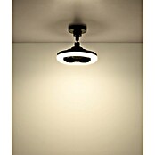 Globo Stropni ventilator Lidea  (Crna, Promjer: 258 mm, 20 W) | BAUHAUS