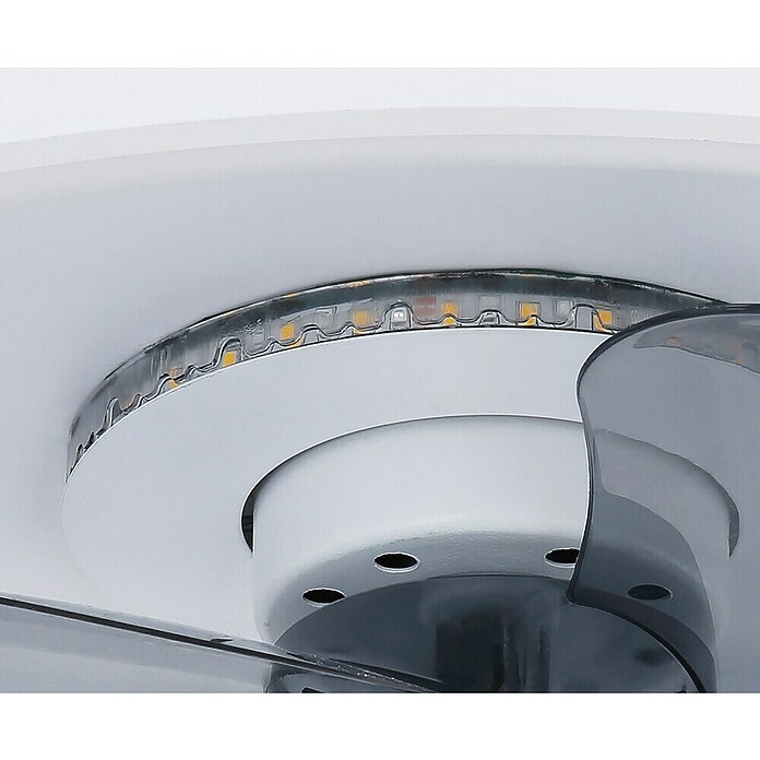 Globo Stropni ventilator Joey  (Bijela, Promjer: 450 mm, 41 W) | BAUHAUS