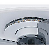 Globo Stropni ventilator Joey  (Bijela, Promjer: 450 mm, 41 W) | BAUHAUS