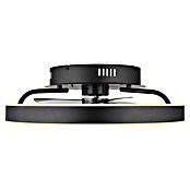 Globo Stropni ventilator Conway  (Crna, Promjer: 500 mm, 40 W) | BAUHAUS