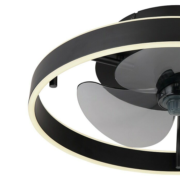Globo Stropni ventilator Conway  (Crna, Promjer: 500 mm, 40 W) | BAUHAUS