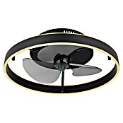 Globo Stropni ventilator Conway  (Crna, Promjer: 500 mm, 40 W) | BAUHAUS