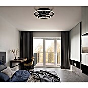 Globo Stolni ventilator Linay  (Crna, Promjer: 500 mm, 30 W) | BAUHAUS