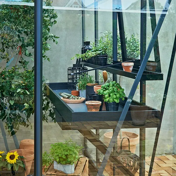 Juliana Gewächshaus-Tisch - 213 x 52 x 10 cm - Ein Blick in ein Gewächshaus mit Pflanzen auf schwarzen Metallregalen und dem Blick auf das Äußere durch das Glas.