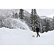 Stiga Akku-Schneefräse ST 300e (48 V, 1 Akku, 2 Ah, Arbeitsbreite: 30 cm) | BAUHAUS