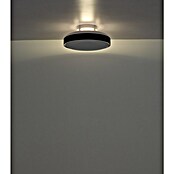 Globo Stropni ventilator Carney  (Bijelo - crna, Promjer: 450 mm, 40 W) | BAUHAUS
