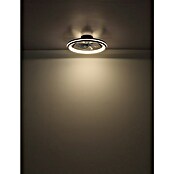 Globo Stropni ventilator Celeste  (36 W, Promjer: 500 mm, Crna) | BAUHAUS