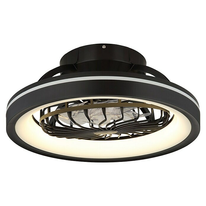 Globo Ventilador de techo Deanne (40 W, Diámetro: 480 mm, Negro mate) | BAUHAUS