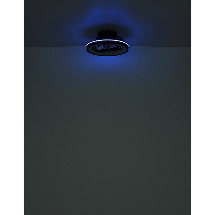 Globo Ventilador de techo Deanne (40 W, Diámetro: 480 mm, Negro mate) | BAUHAUS