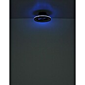 Globo Ventilador de techo Deanne (40 W, Diámetro: 480 mm, Negro mate) | BAUHAUS