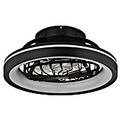 Globo Ventilador de techo Deanne (40 W, Diámetro: 480 mm, Negro mate) | BAUHAUS