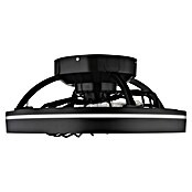 Globo Ventilador de techo Deanne (40 W, Diámetro: 480 mm, Negro mate) | BAUHAUS