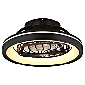 Globo Ventilador de techo Deanne (40 W, Diámetro: 480 mm, Negro mate) | BAUHAUS