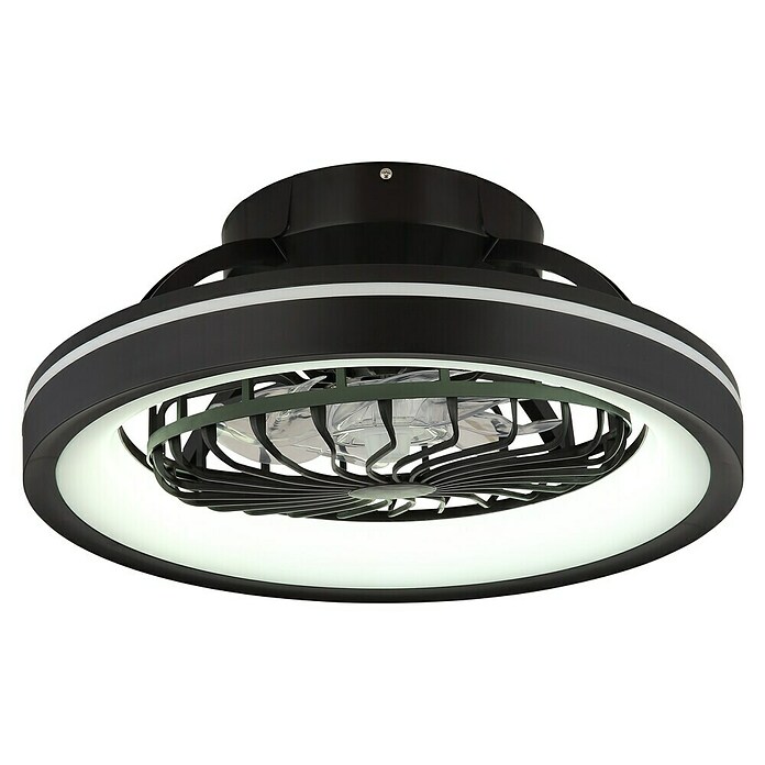 Globo Ventilador de techo Deanne (40 W, Diámetro: 480 mm, Negro mate) | BAUHAUS