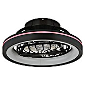 Globo Ventilador de techo Deanne (40 W, Diámetro: 480 mm, Negro mate) | BAUHAUS