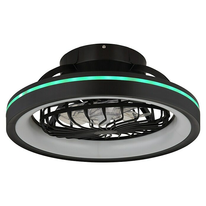Globo Ventilador de techo Deanne (40 W, Diámetro: 480 mm, Negro mate) | BAUHAUS