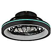 Globo Ventilador de techo Deanne (40 W, Diámetro: 480 mm, Negro mate) | BAUHAUS