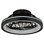 Globo Ventilador de techo Deanne (40 W, Diámetro: 480 mm, Negro mate) | BAUHAUS
