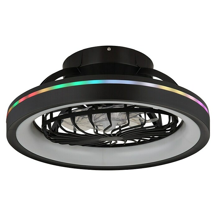 Globo Ventilador de techo Deanne (40 W, Diámetro: 480 mm, Negro mate) | BAUHAUS