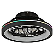 Globo Ventilador de techo Deanne (40 W, Diámetro: 480 mm, Negro mate) | BAUHAUS