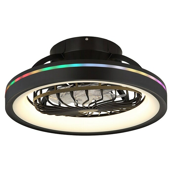 Globo Ventilador de techo Deanne (40 W, Diámetro: 480 mm, Negro mate) | BAUHAUS