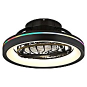 Globo Ventilador de techo Deanne (40 W, Diámetro: 480 mm, Negro mate) | BAUHAUS