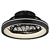Globo Ventilador de techo Deanne (40 W, Diámetro: 480 mm, Negro mate) | BAUHAUS