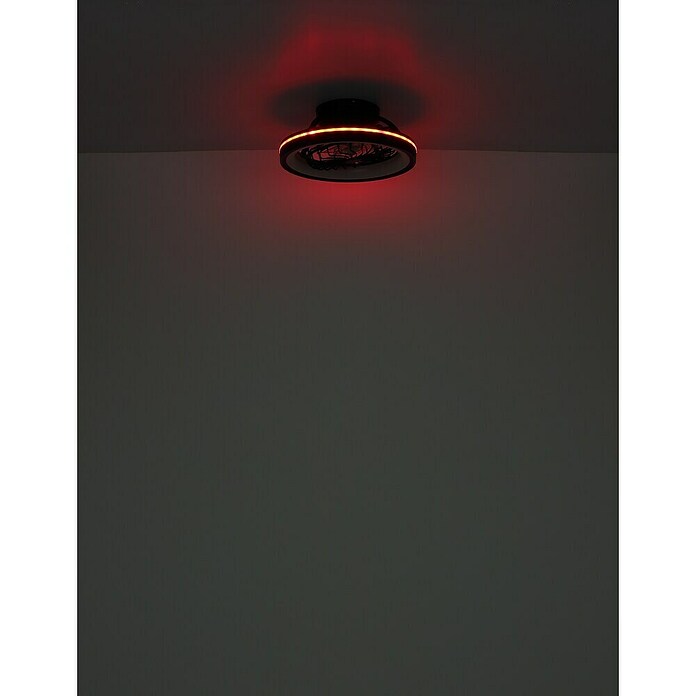 Globo Ventilador de techo Deanne (40 W, Diámetro: 480 mm, Negro mate) | BAUHAUS