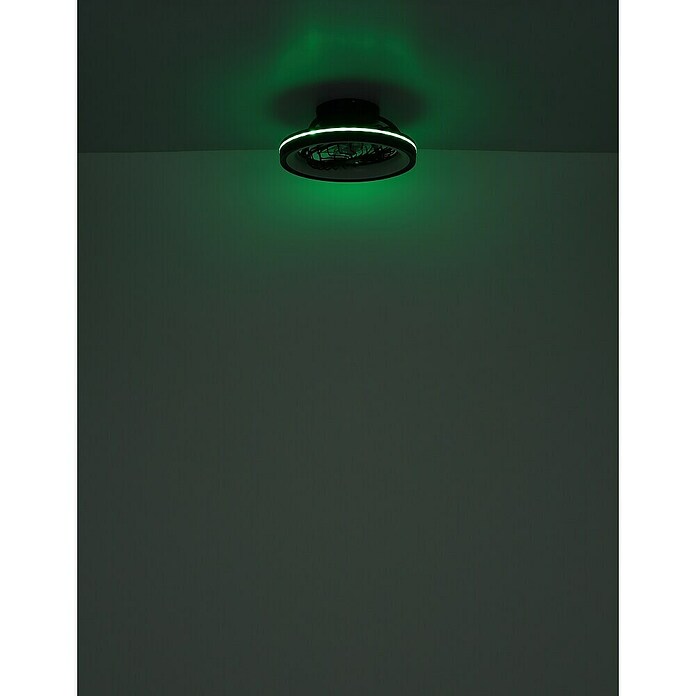 Globo Ventilador de techo Deanne (40 W, Diámetro: 480 mm, Negro mate) | BAUHAUS