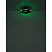 Globo Ventilador de techo Deanne (40 W, Diámetro: 480 mm, Negro mate) | BAUHAUS