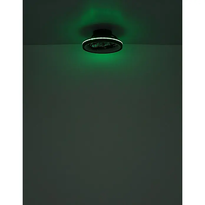 Globo Ventilador de techo Deanne - 40 W, Diámetro: 480 mm, Negro mate - Ventilador de techo con iluminación LED que emite un brillo verde, ofreciendo una solución moderna y energéticamente eficiente para refrigerar la habitación.