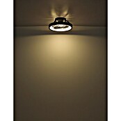 Globo Ventilador de techo Deanne (40 W, Diámetro: 480 mm, Negro mate) | BAUHAUS