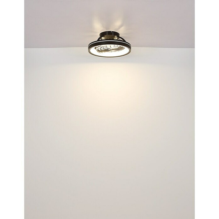 Globo Ventilador de techo Deanne (40 W, Diámetro: 480 mm, Negro mate) | BAUHAUS
