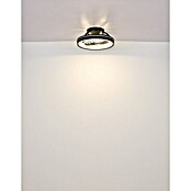Globo Ventilador de techo Deanne (40 W, Diámetro: 480 mm, Negro mate) | BAUHAUS